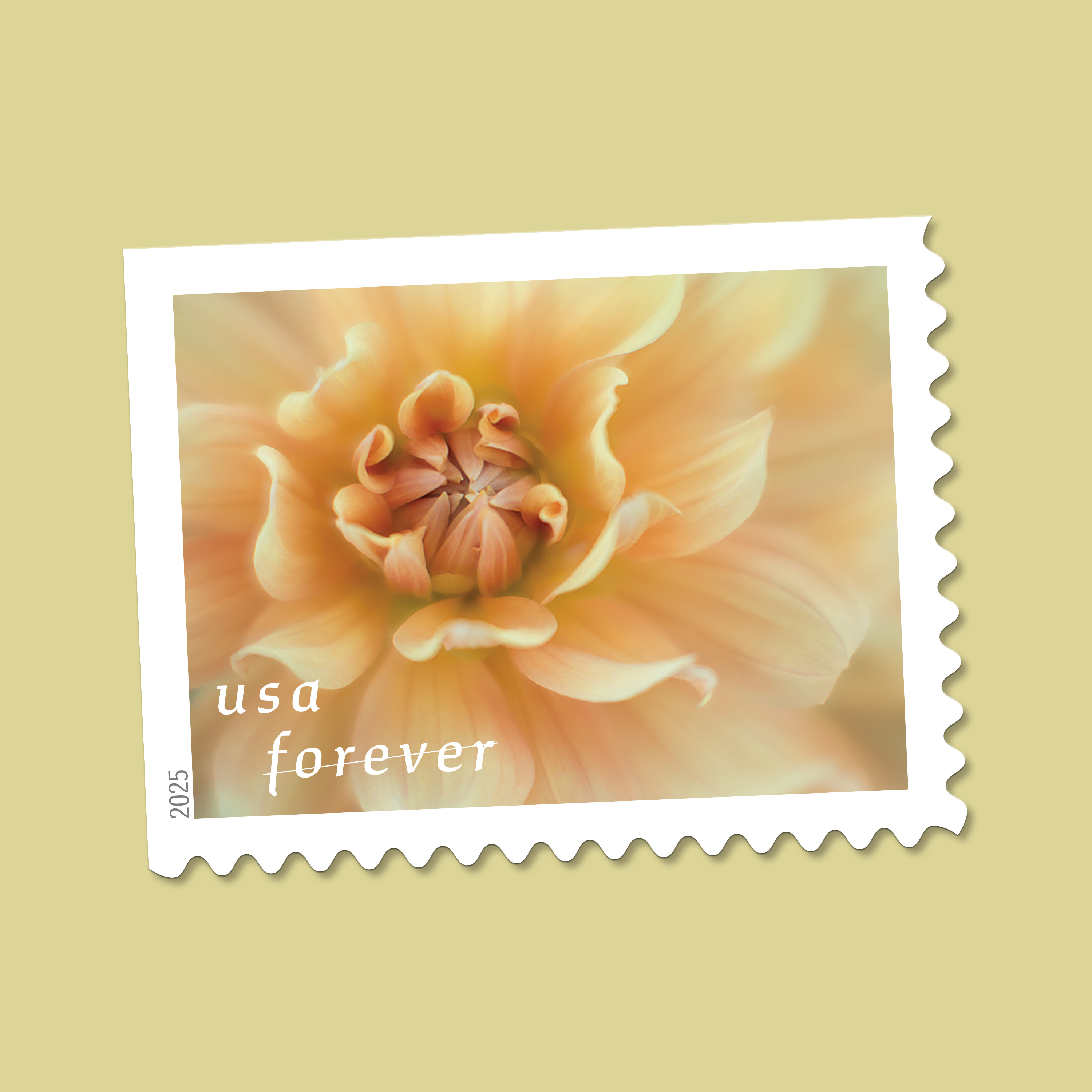 2025 Forever Stamps Dahlias Stamps - Forever Stamps