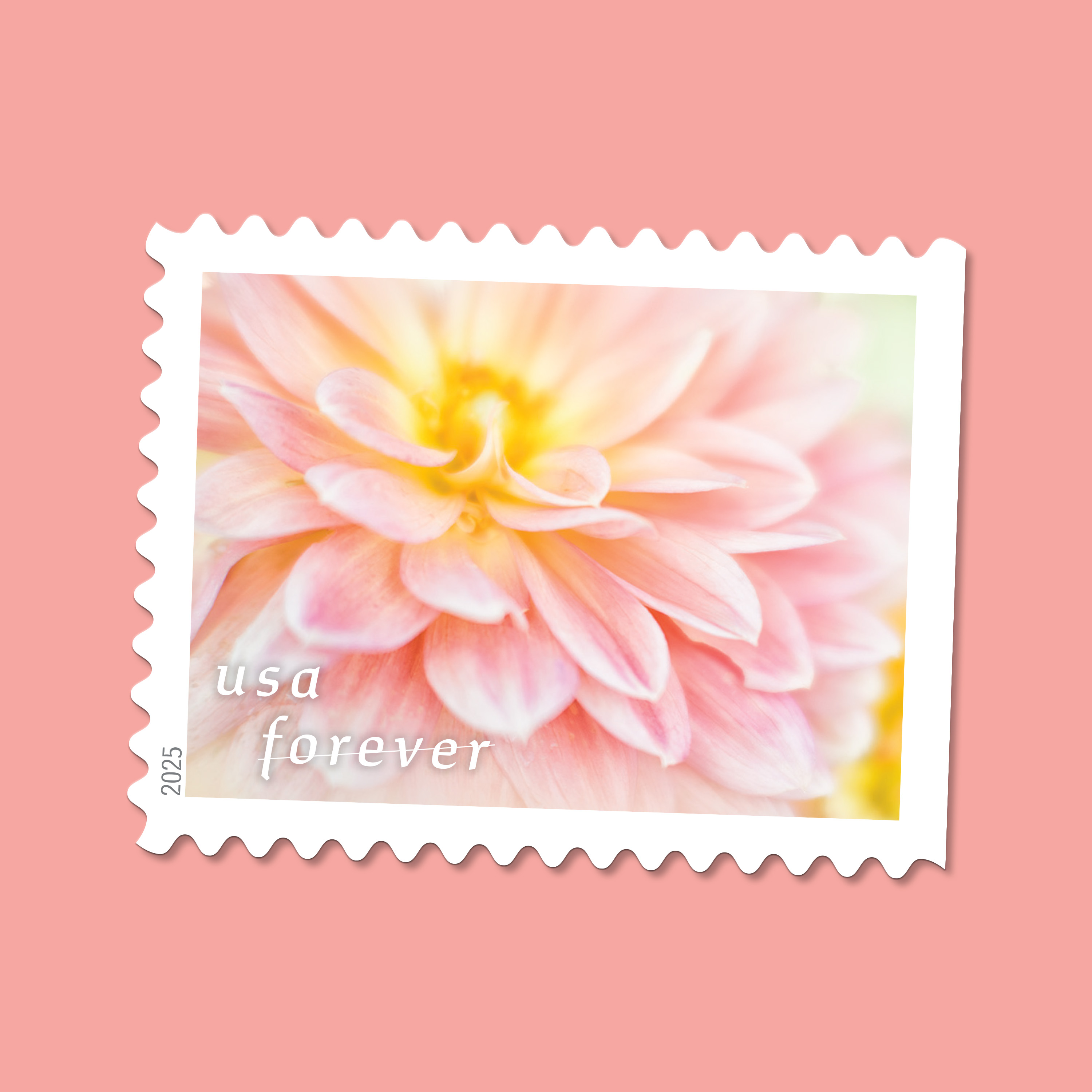 2025 Forever Stamps Dahlias Stamps - Forever Stamps