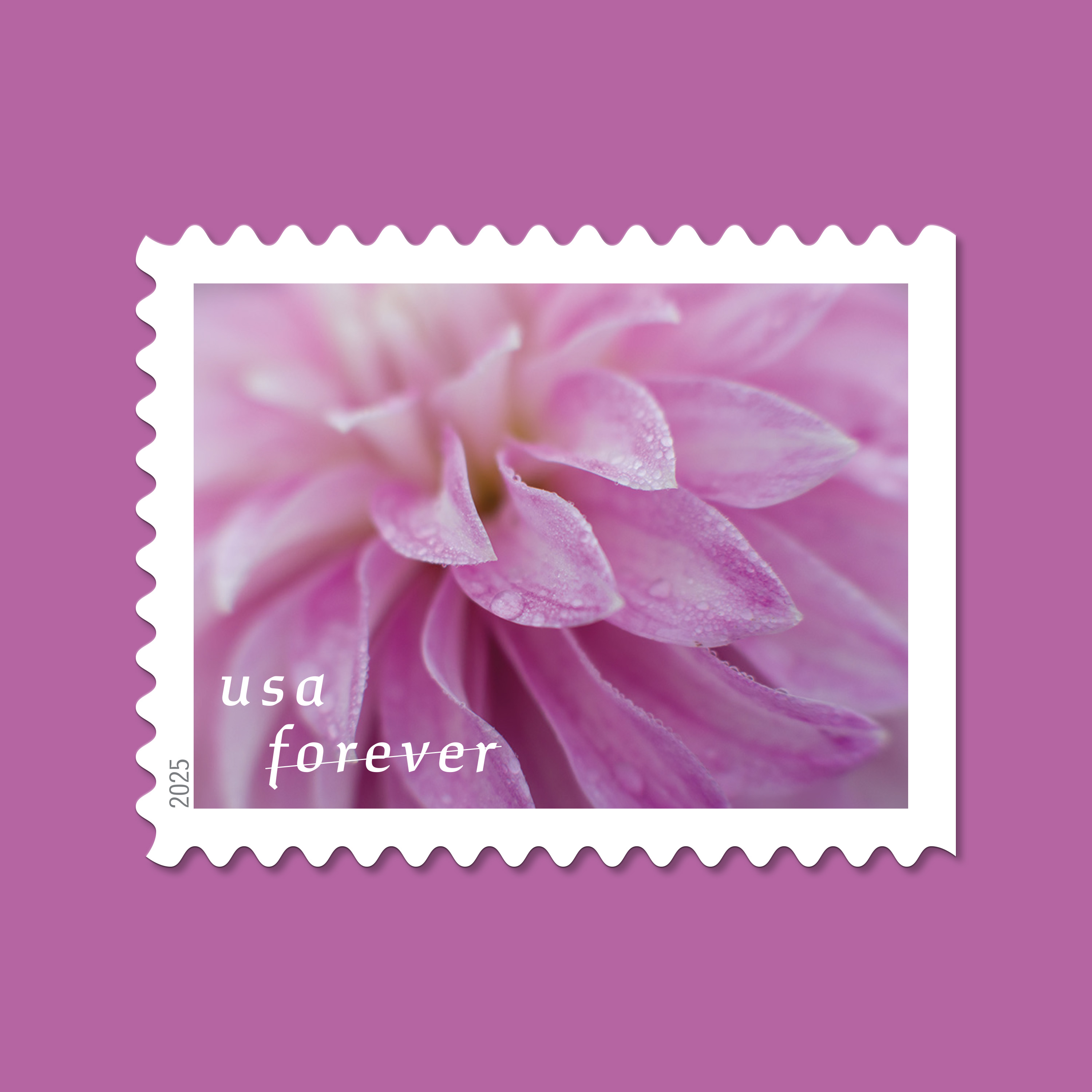2025 Forever Stamps Dahlias Stamps - Forever Stamps