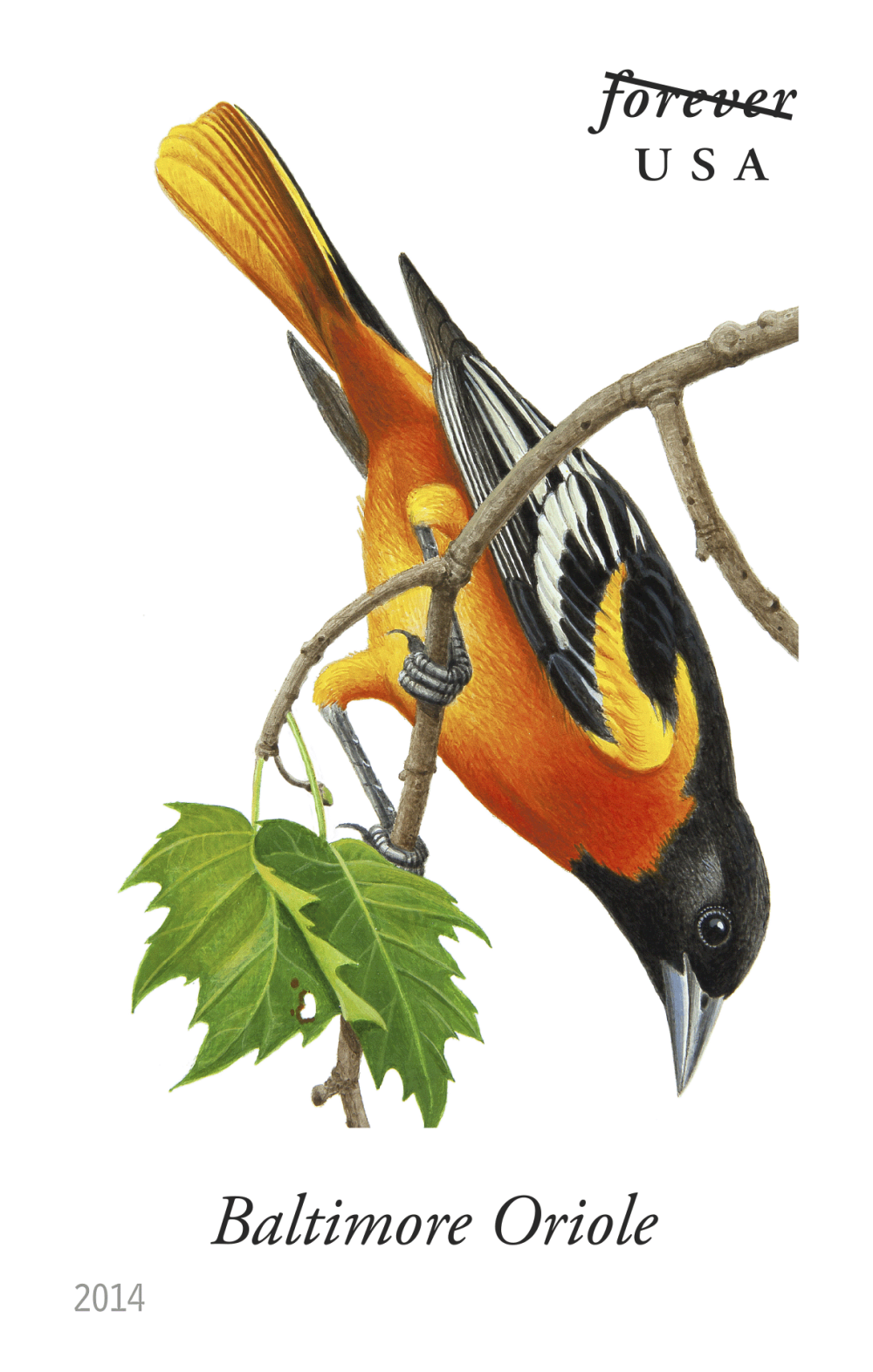 2014 Song Birds Stamps - Forever Stamps