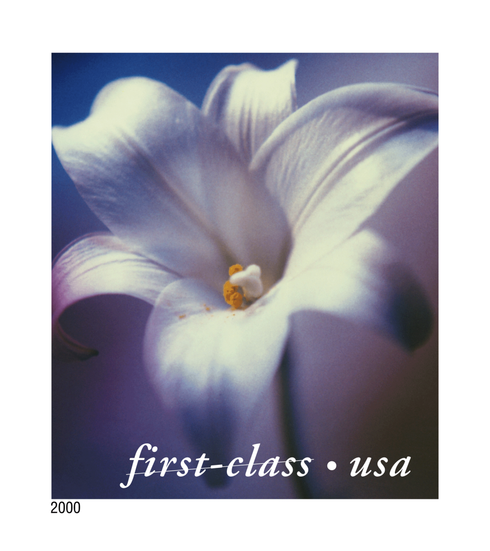 2000 Flowers Stamps - Forever Stamps