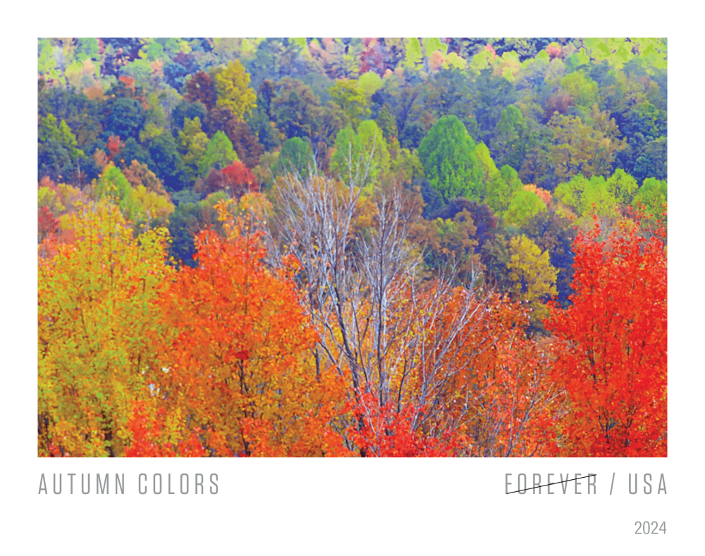 2024 Autumn Colors Stamps - Forever Stamps