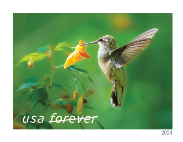 2024 Garden Delights Stamps - Forever Stamps