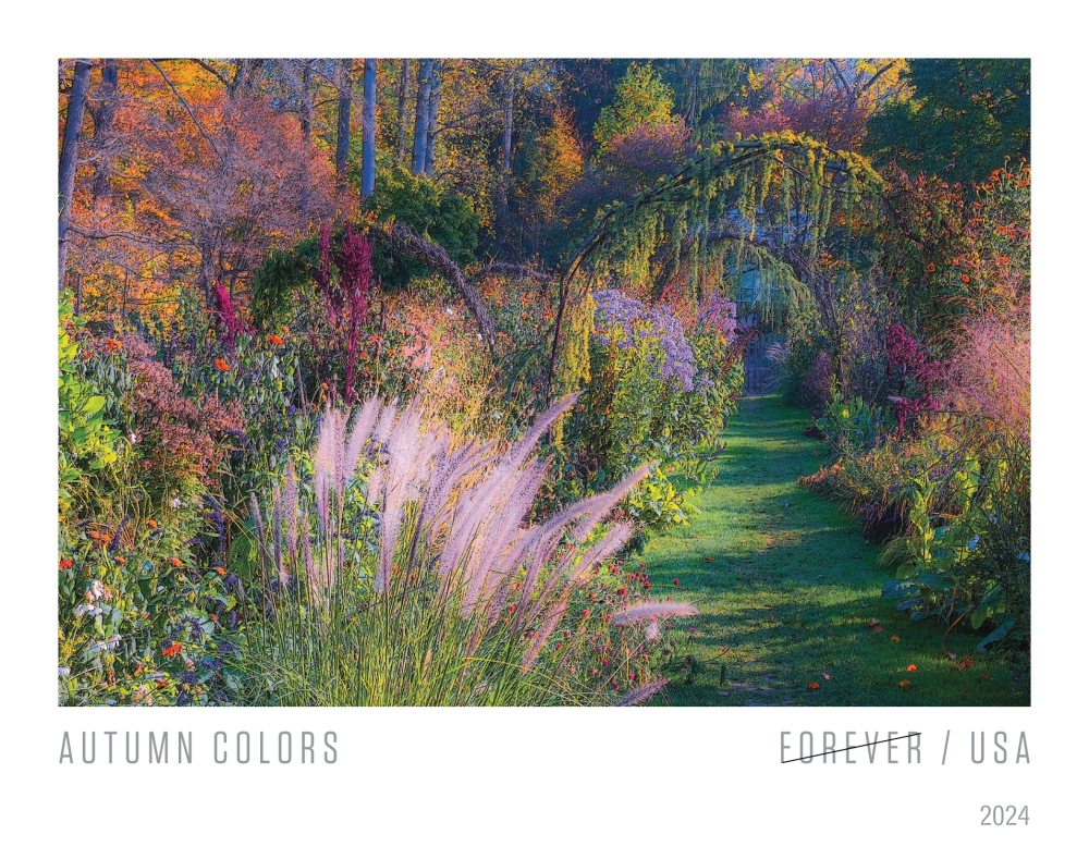 2024 Autumn Colors Stamps - Forever Stamps