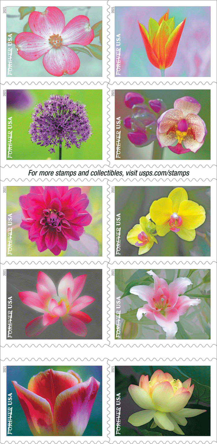 2021 Garden Beauty Forever®Stamp - Forever Stamps