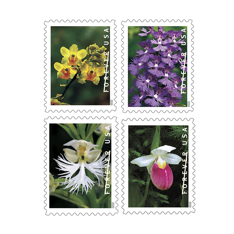 2020 Wild Orchids Forever®Stamp - Forever Stamps