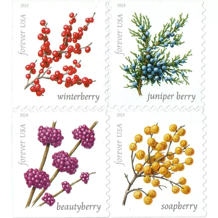 Winter Berries Forever Stamps 2019 - Forever Stamps