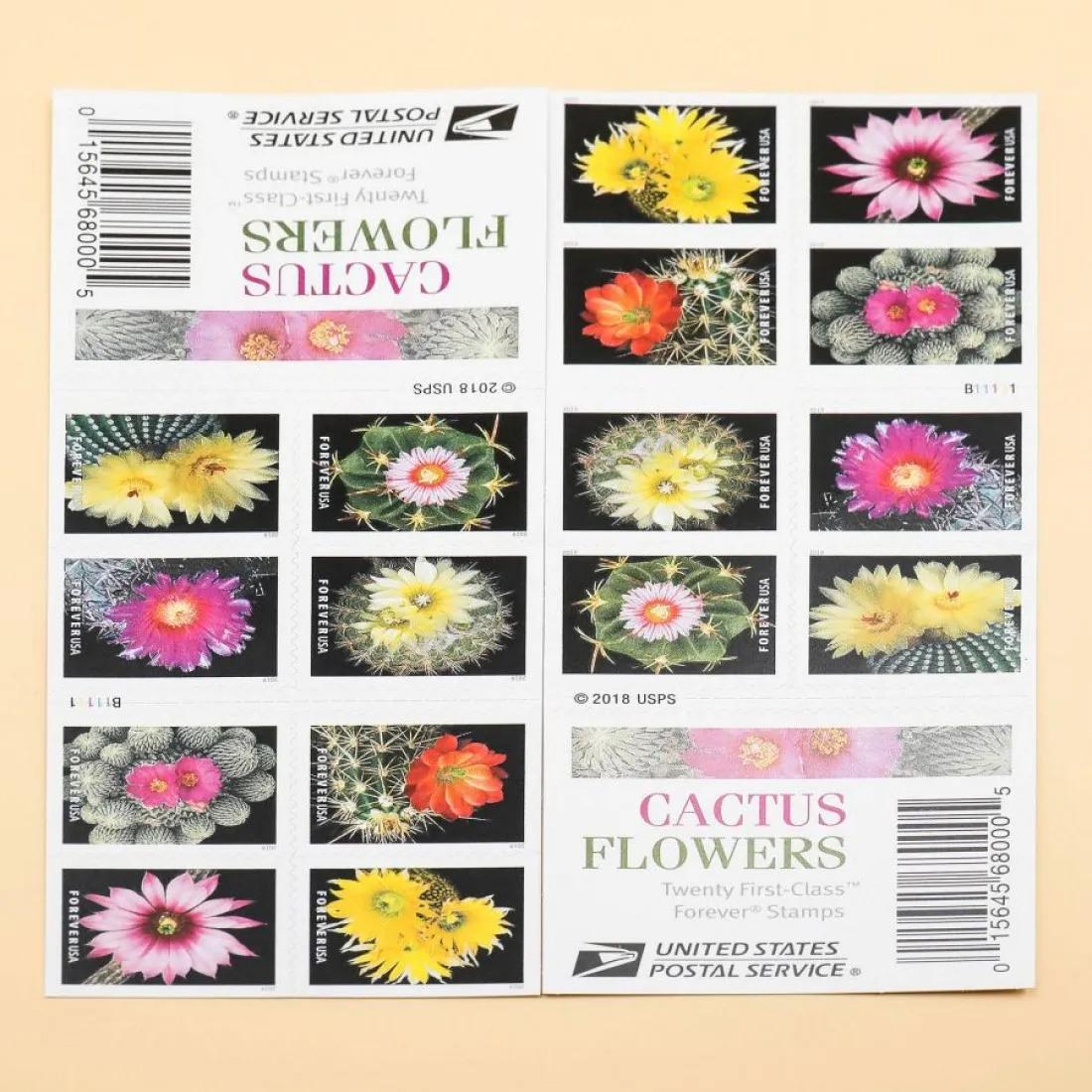 Cactus Flowers Forever Stamps 2019 - Forever Stamps